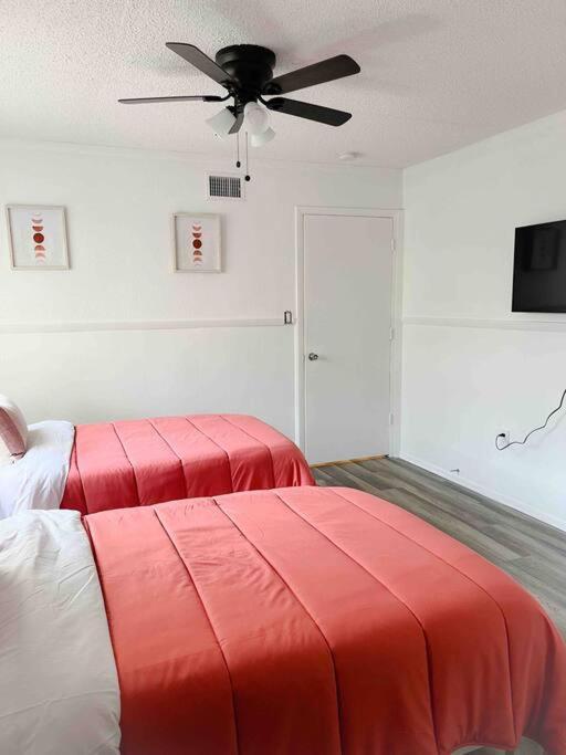 Sparkling Guest Home 2 Bedroom-15 Minutes To Clearwater Beach المظهر الخارجي الصورة